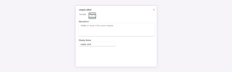 The Display tab of a column&rsquo;s Edit panel, with the Description box and the Display Name field